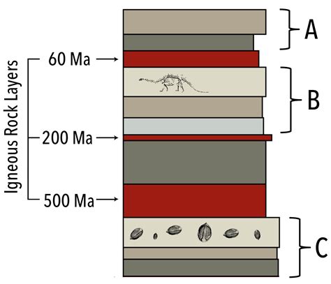 isotopic dating means that ages are assigned to rocks using ______ methods.